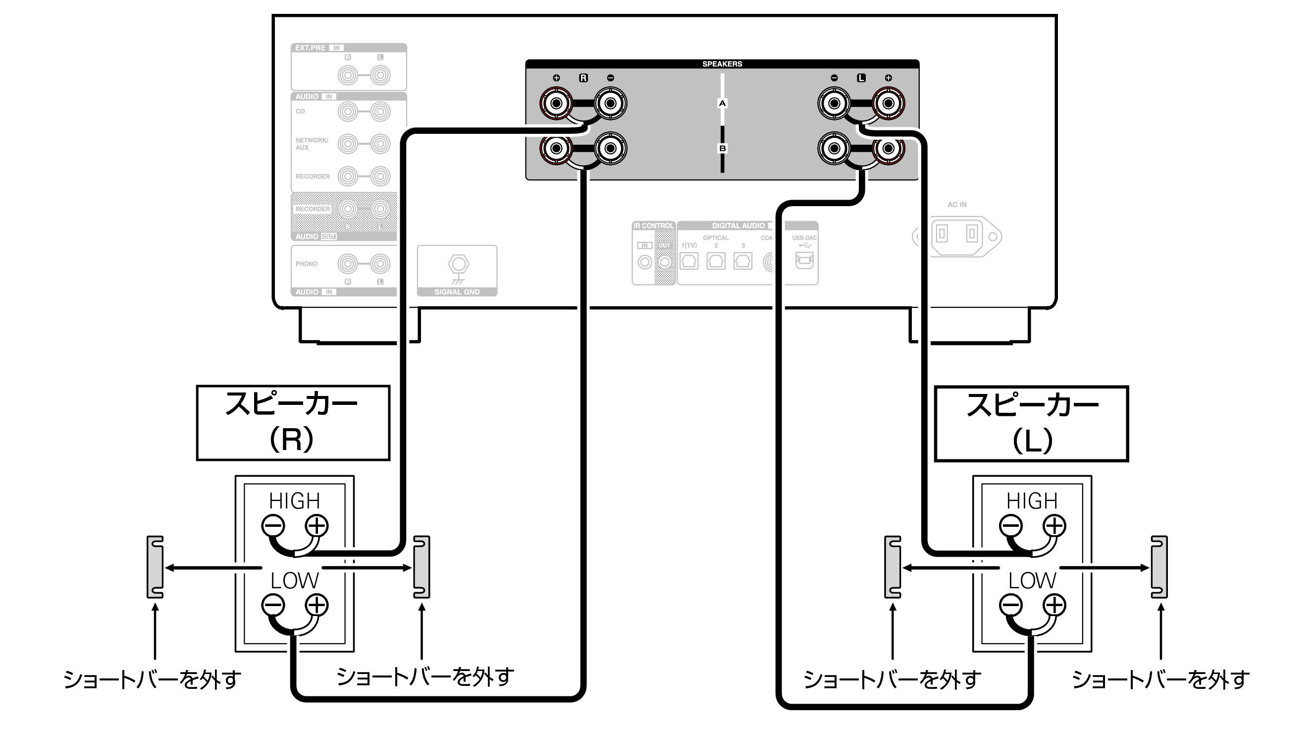Conne biwiring PMA3000NE